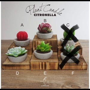 4pc DarkSteve Citronella Succulent Candles